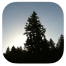 PDX Trees - app logo